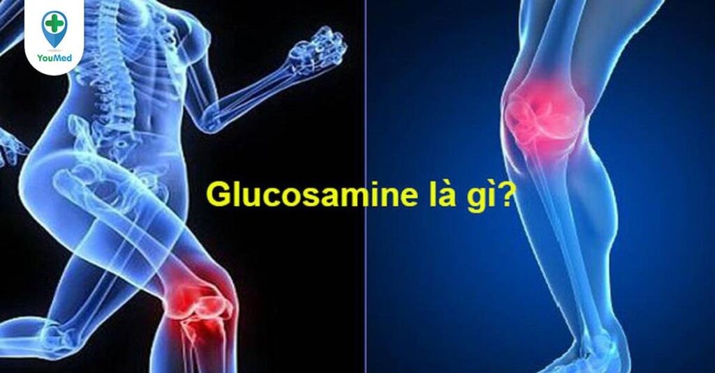 Glucosamine là gì? Giá, công dụng và liều dùng