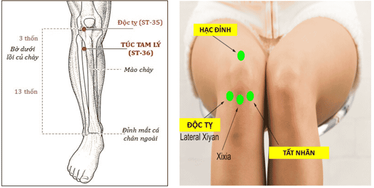 Hướng dẫn chi tiết cách bấm huyệt chữa đau đầu gối