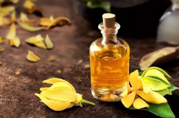 Tinh dầu ngọc lan tây đôi khi có thể gây kích ứng bởi mùi nồng nên bạn cần cân nhắc khi sử dụng