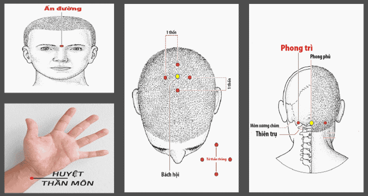Vị trí một số huyệt thường dùng trong bấm huyệt chữa suy giảm trí nhớ