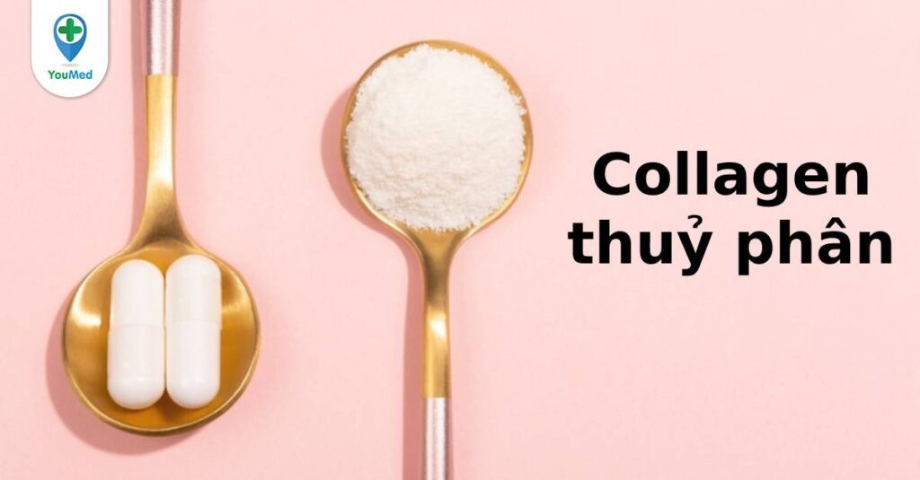 Khám phá công dụng của Collagen thuỷ phân trong dưỡng da