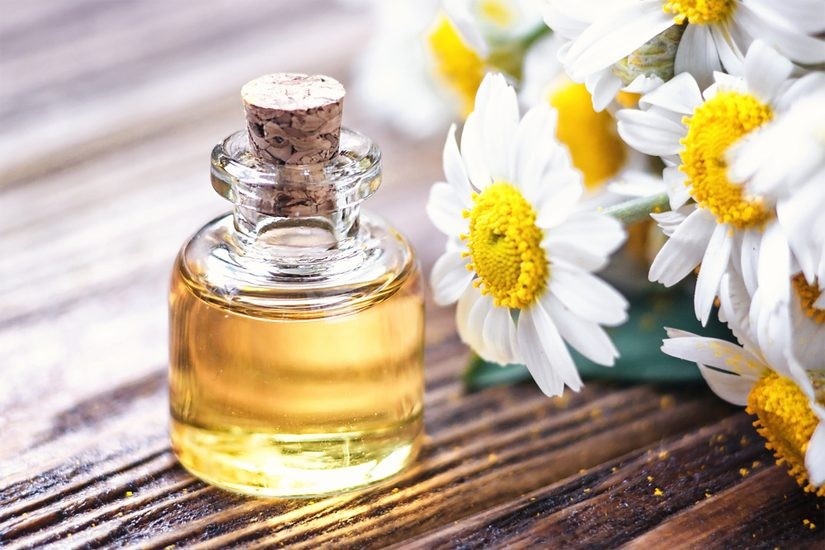 Tinh dầu hoa cúc giúp làm tăng độ ẩm và có hiệu quả trong điều trị các bệnh về da 