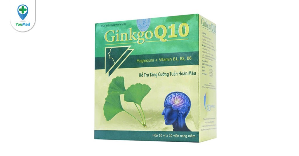 Viên uống hỗ trợ tăng cường tuần hoàn máu Ginkgo Q10 có tốt không? Lưu ý khi sử dụng