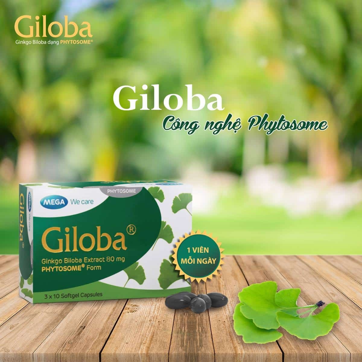 Thực phẩm chức năng Giloba 80mg của nhà sản xuất Mega
