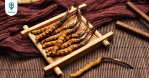 Rượu đông trùng hạ thảo – Bí quyết cho một sức khỏe tốt