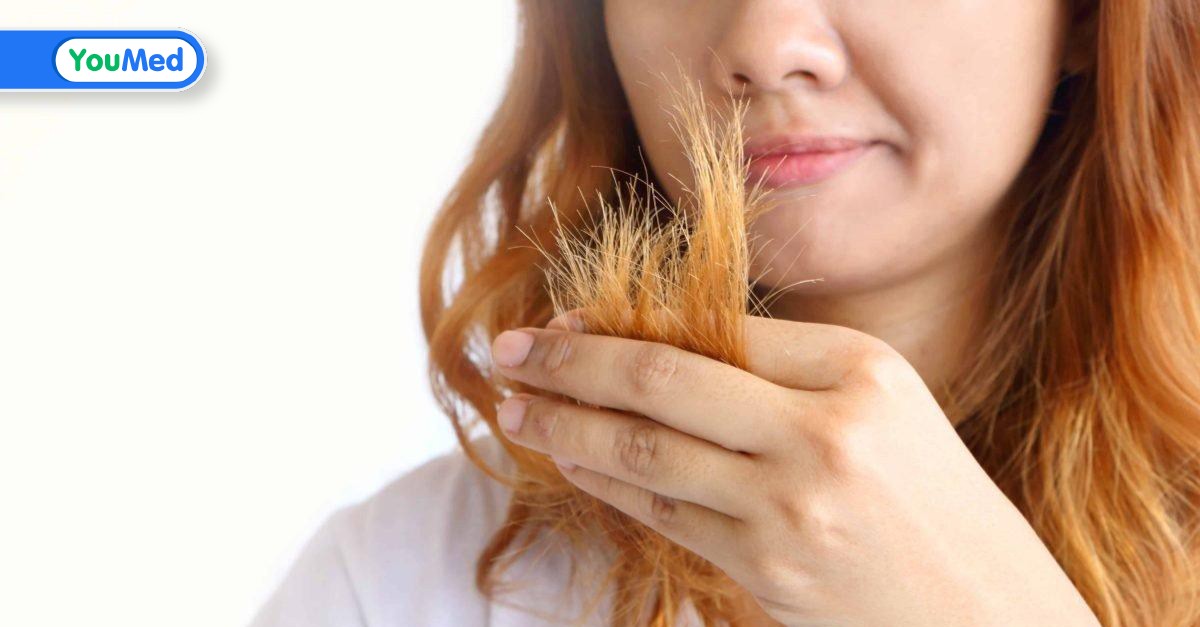6 cách phục hồi và chăm sóc tóc cháy nắng  YouMed