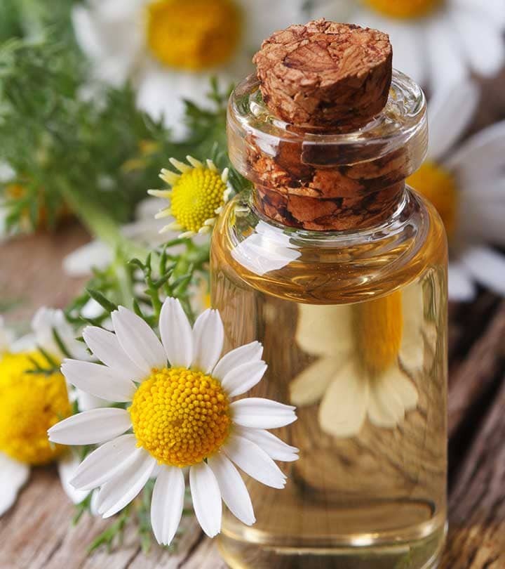 Tinh dầu hoa cúc được xem là một trong những loại tinh dầu dưỡng da khô phổ biến