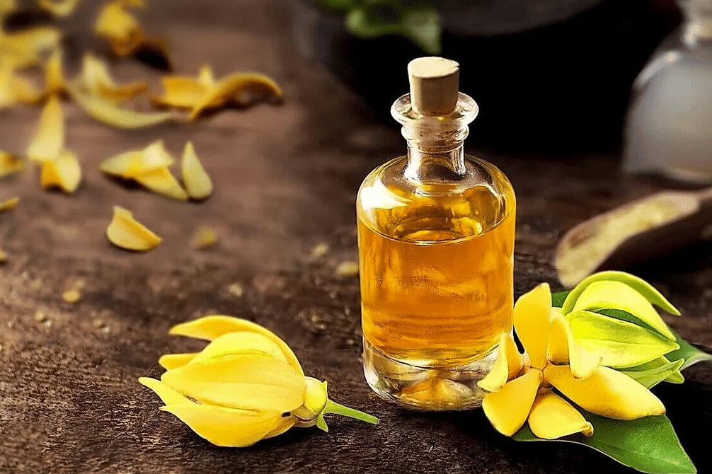 Tinh dầu ngọc lan tây là một trong những phương thức trị liệu bằng hương thơm giúp thư giãn tinh thần
