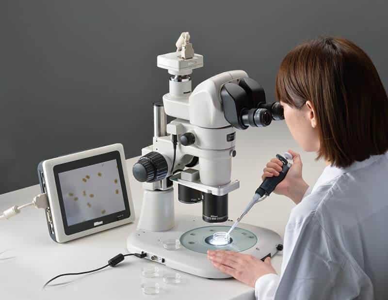 Sau khi lấy mẫu từ mô bệnh học, bác sĩ sẽ quan sát dưới kính hiển vi để xác định bạn có bị ung thư vòm họng hay không
