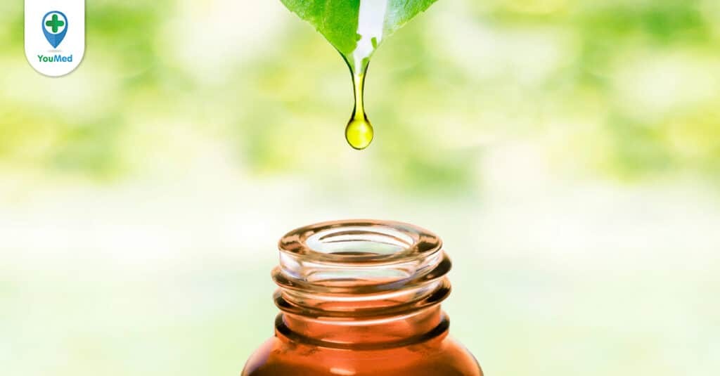 Tinh dầu tía tô: công dụng, cách dùng và lưu ý khi sử dụng