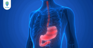 Top 5 bệnh viện, phòng khám nội soi dạ dày uy tín tại quận 2