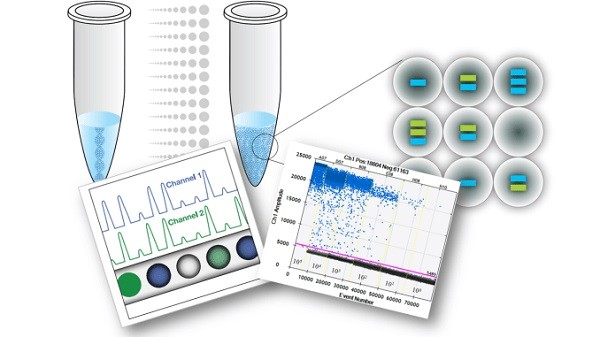 Real-time PCR tương tự quy trình xét nghiệm PCR bình thường nhưng có thêm chất đánh dấu huỳnh quang