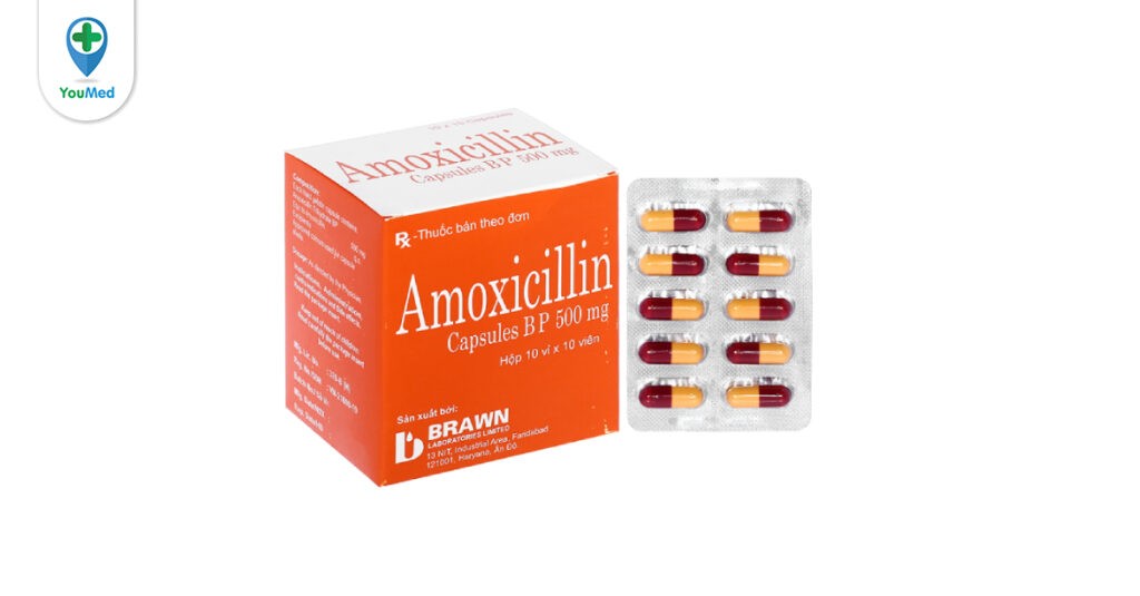 Kháng Sinh Amoxicillin Brawn là thuốc gì? Công dụng, cách dùng và lưu ý khi dùng