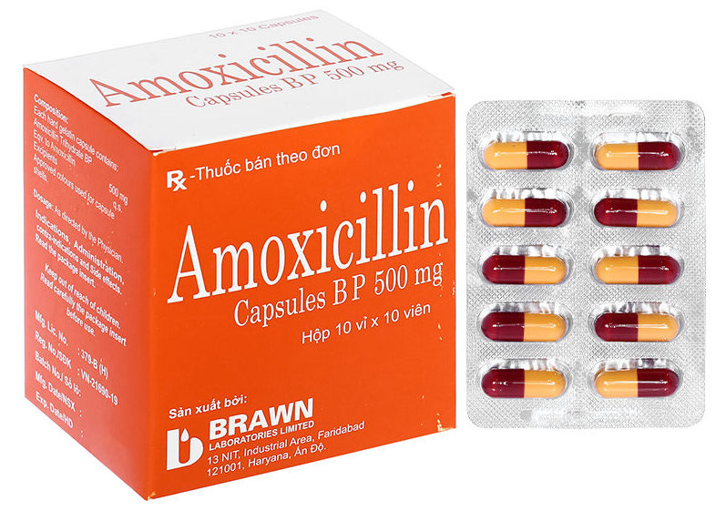 Thuốc Amoxicillin có tác dụng gì? Tìm hiểu chi tiết về công dụng, liều dùng và lưu ý quan trọng