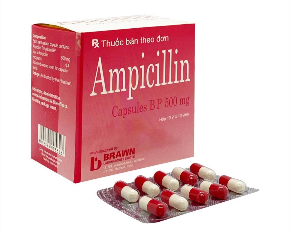 Thuốc Ampicillin Brawn là thuốc cần có hướng dẫn sử dụng của bác sĩ