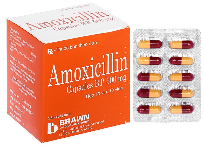 Mỗi hộp kháng Sinh Amoxicillin Brawn chứa 10 vỉ, mỗi vỉ 10 viên.