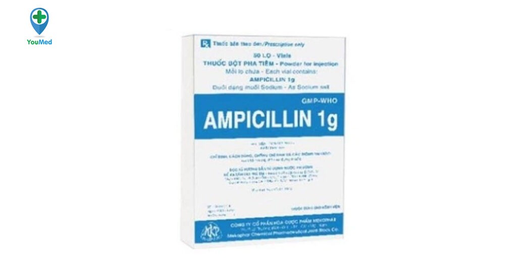 Bột tiêm Ampicillin Mekophar là thuốc gì? Công dụng, cách dùng và lưu ý khi dùng