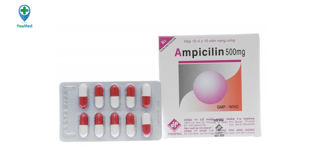 Ampicillin Vidipha là thuốc gì? Công dụng, cách dùng và lưu ý khi dùng