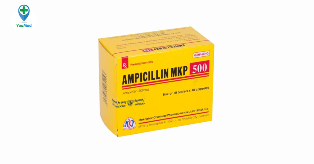 Ampicillin Mekophar là thuốc gì? Công dụng, cách dùng và lưu ý khi dùng