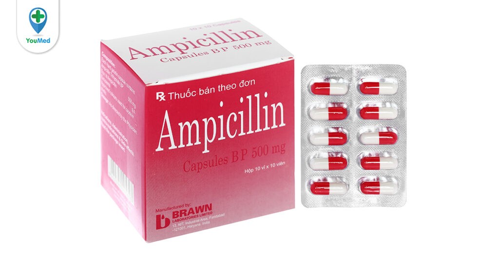 Ampicillin Brawn là thuốc gì? Công dụng, cách dùng và lưu ý khi dùng