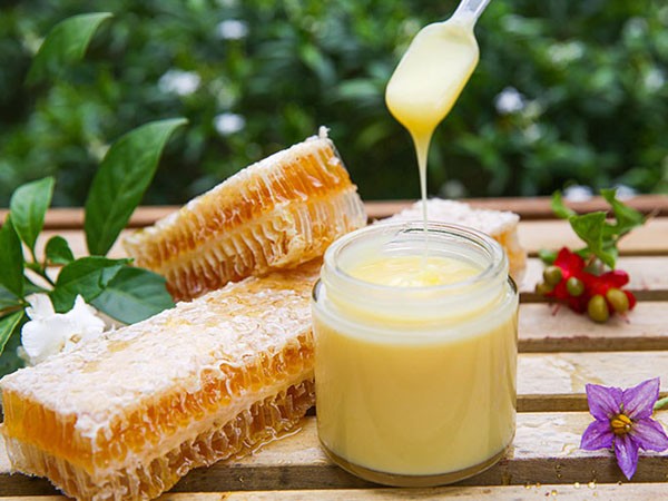Sữa ong chúa món quà của thiên nhiên cho sức khỏe và sắc đẹp