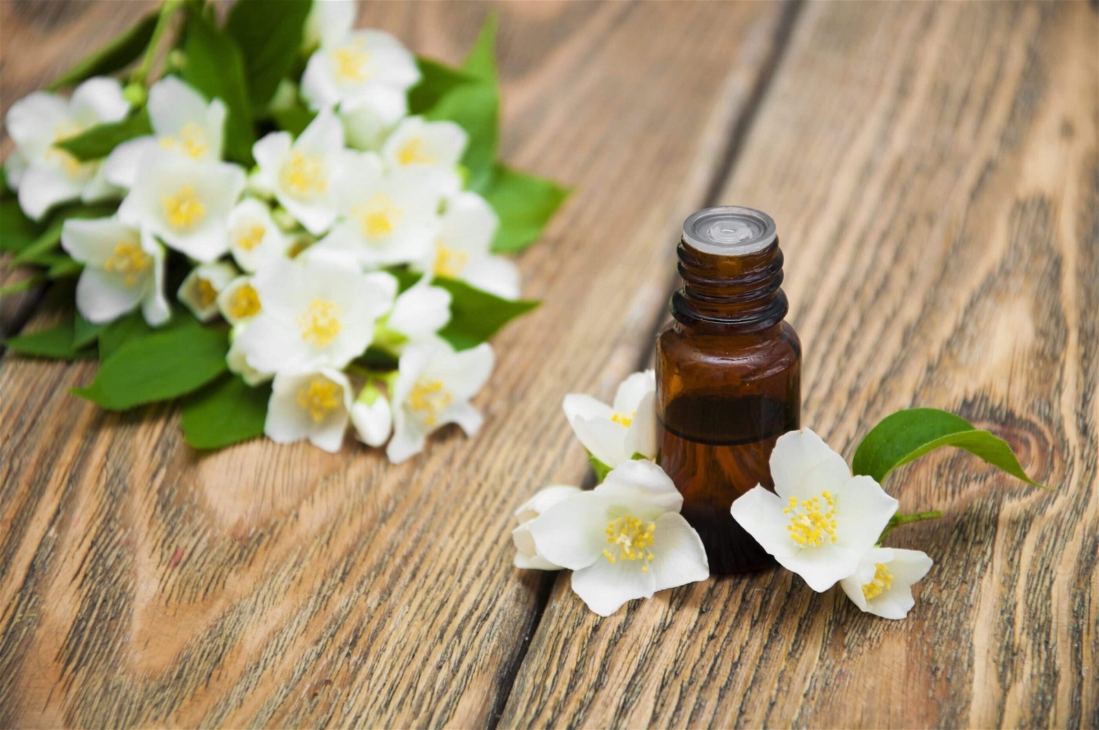 Tinh dầu Jasmine đem lại hương hoa nhài nở rộ thanh khiết.