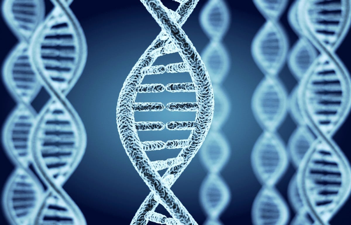 Một số gen đã được chứng minh có liên quan đến u tủy thượng thận