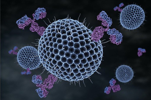 Virus varicella-zoster (VZV) gây bệnh thủy đậu
