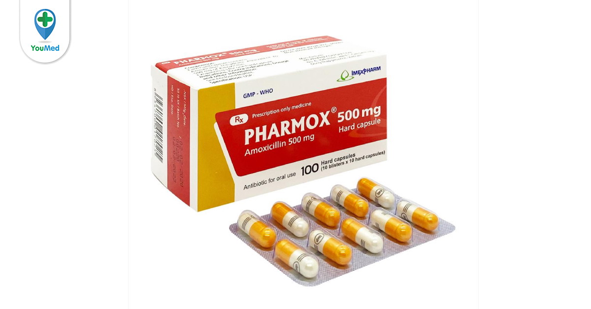 Pharmox amoxicillin 500mg có tác dụng điều trị những bệnh gì?