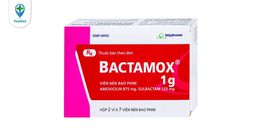 Bactamox là thuốc gì? Công dụng, cách dùng và lưu ý khi dùng