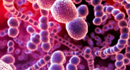 Liên cầu khuẩn nhóm A có thể gây ra nhiều nhiễm trùng khác nhau
