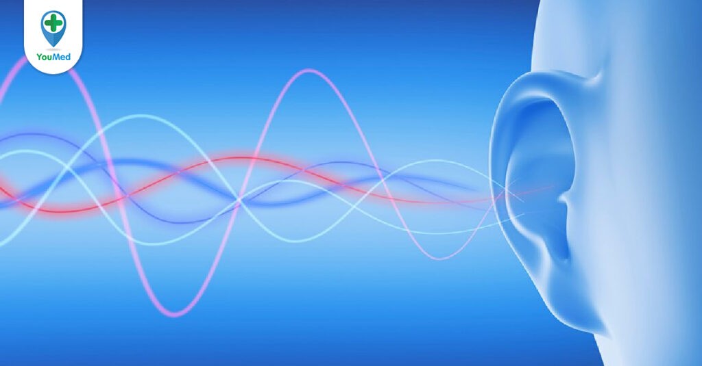 Hệ thống thính giác và những vấn đề thường gặp