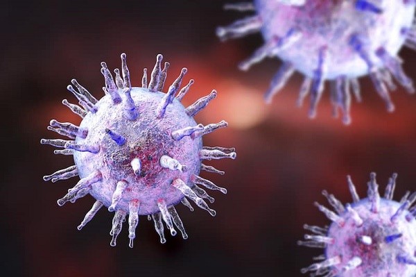 Epstein-Barr (EBV) là một loại virus rất phổ biến, lây lan qua nước bọt và dịch cơ thể