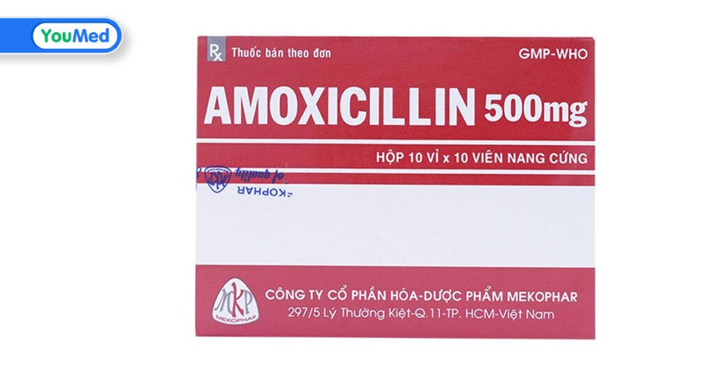 Amoxicillin Mekophar là thuốc gì? Công dụng, cách dùng và lưu ý khi dùng