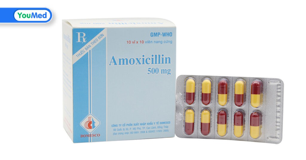 Kháng sinh Amoxicillin Domesco là thuốc gì? Công dụng, cách dùng và lưu ý khi dùng