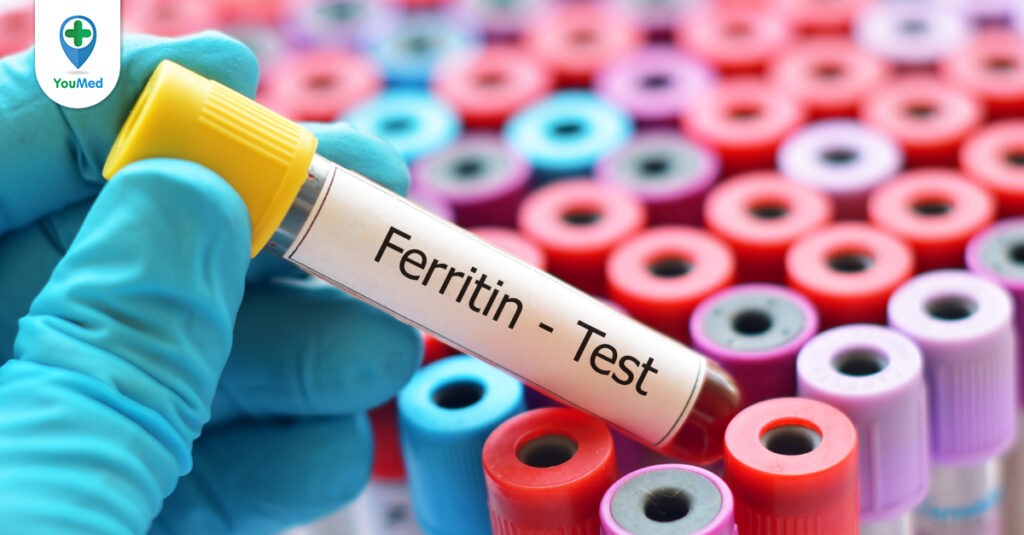Xét nghiệm Ferritin là gì và ý nghĩa của nồng độ Ferritin trong máu