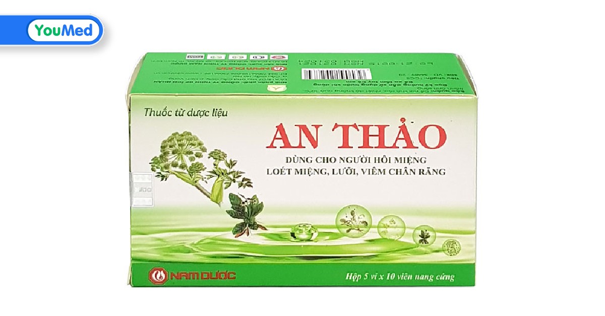 What is the effectiveness of An Thảo Nam Dược in treating nhiệt miệng, hôi miệng, and other related symptoms?
