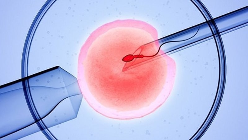 Trứng sẽ được thụ tinh trong phòng thí nghiệm khi làm IVF