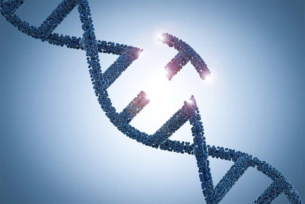 Đột biến gen có thể làm tăng nguy cơ mắc các bệnh ung thư