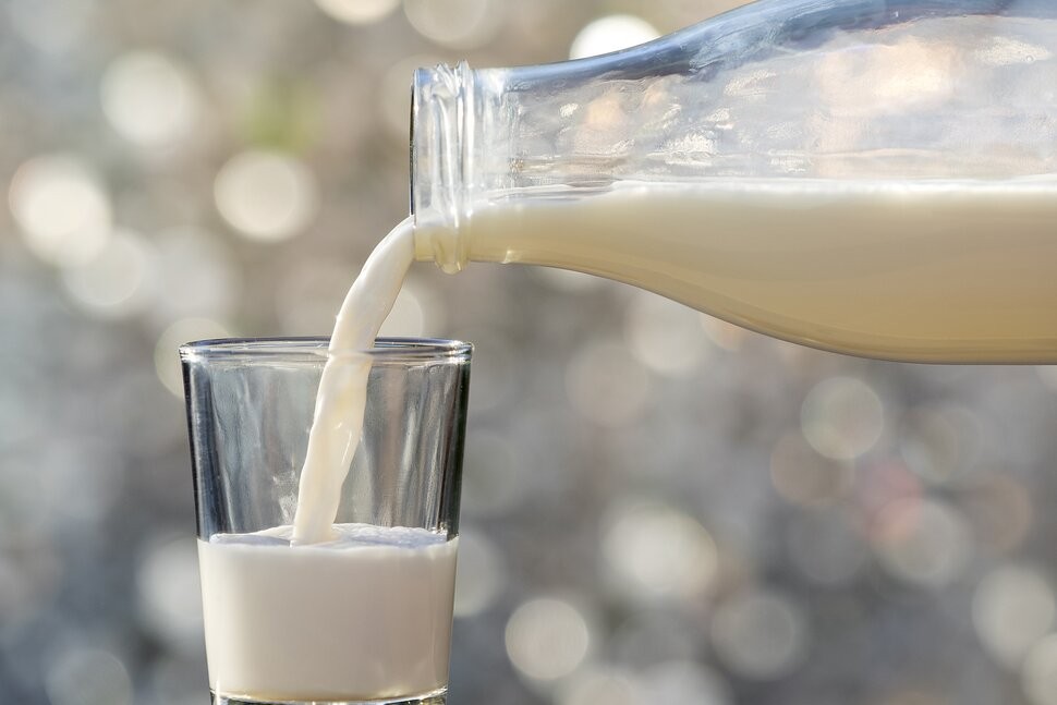 Việc bổ sung sữa sẽ giúp cung cấp lượng calories và chất dinh dưỡng cần thiết cho người ung thư phổi