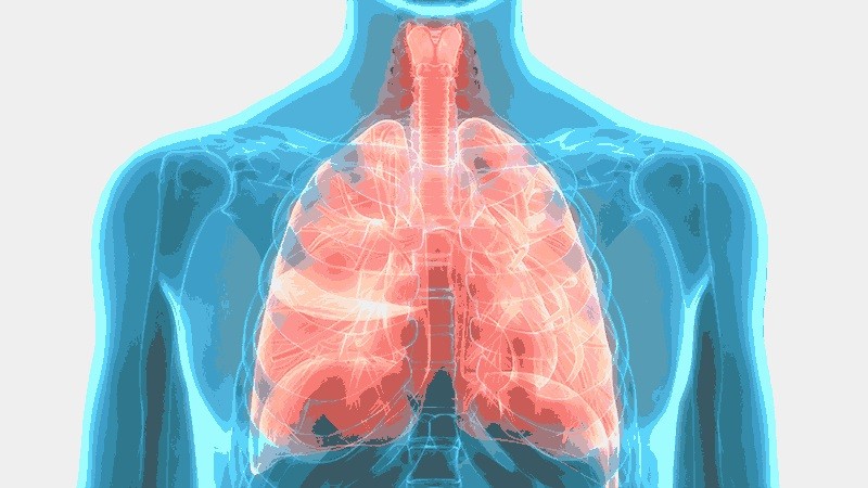 Carbocistein được chỉ định điều trị/bổ trợ cho các bệnh đường hô hấp