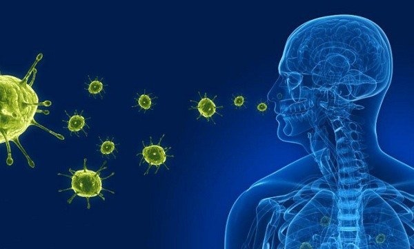 Bệnh do virus thường lây qua đường tiêu hóa hoặc đường hô hấp