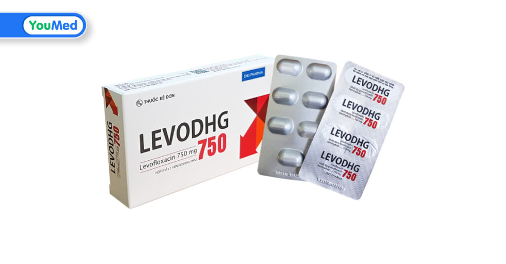 LevoDHG 750 là thuốc gì? Công dụng, cách dùng và lưu ý khi sử dụng