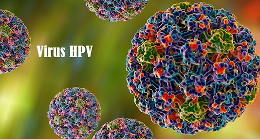 virus HPV
