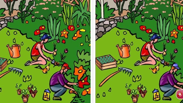 Bài tập cải thiện suy giảm nhận thức người cao tuổi - Bài 2: Tìm điểm khác nhau giữa 2 bức tranh 4 Muc do kho