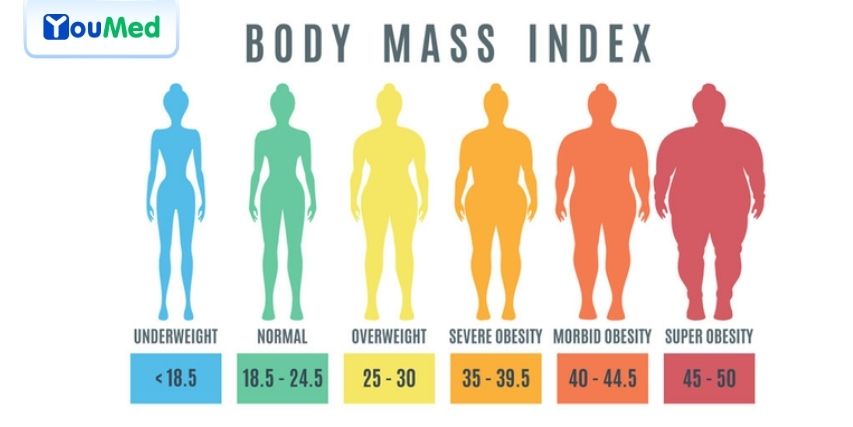 Phân loại chỉ số BMI theo WHO cho người châu Âu